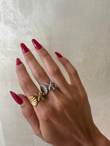  Anello marea
