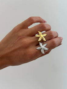  Anello estrella