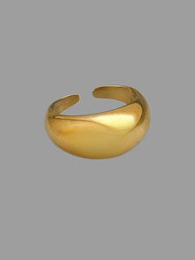 Fedone basic oro